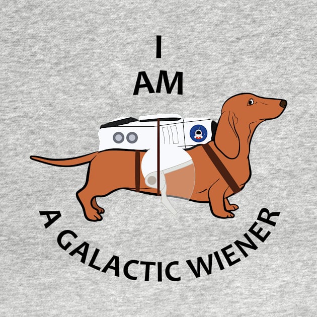 I Am a Galactic Wiener by Expanse Collective